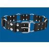 Standard o ring link belt belts and buckles