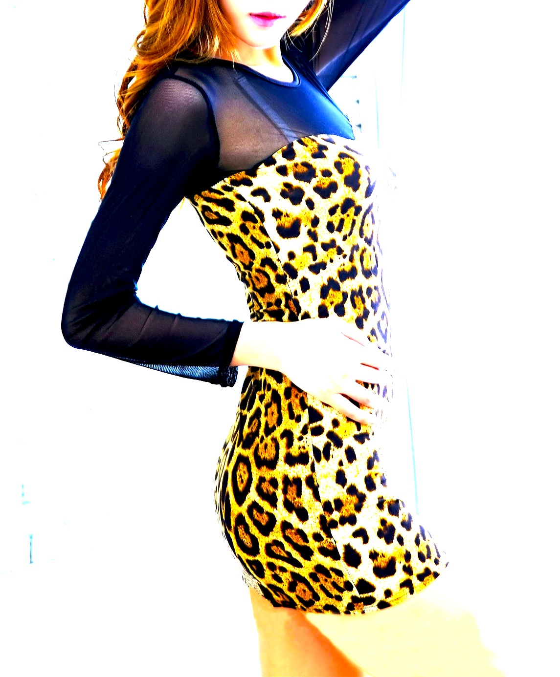 leopard_print_mini_dress_dresses_3.jpg