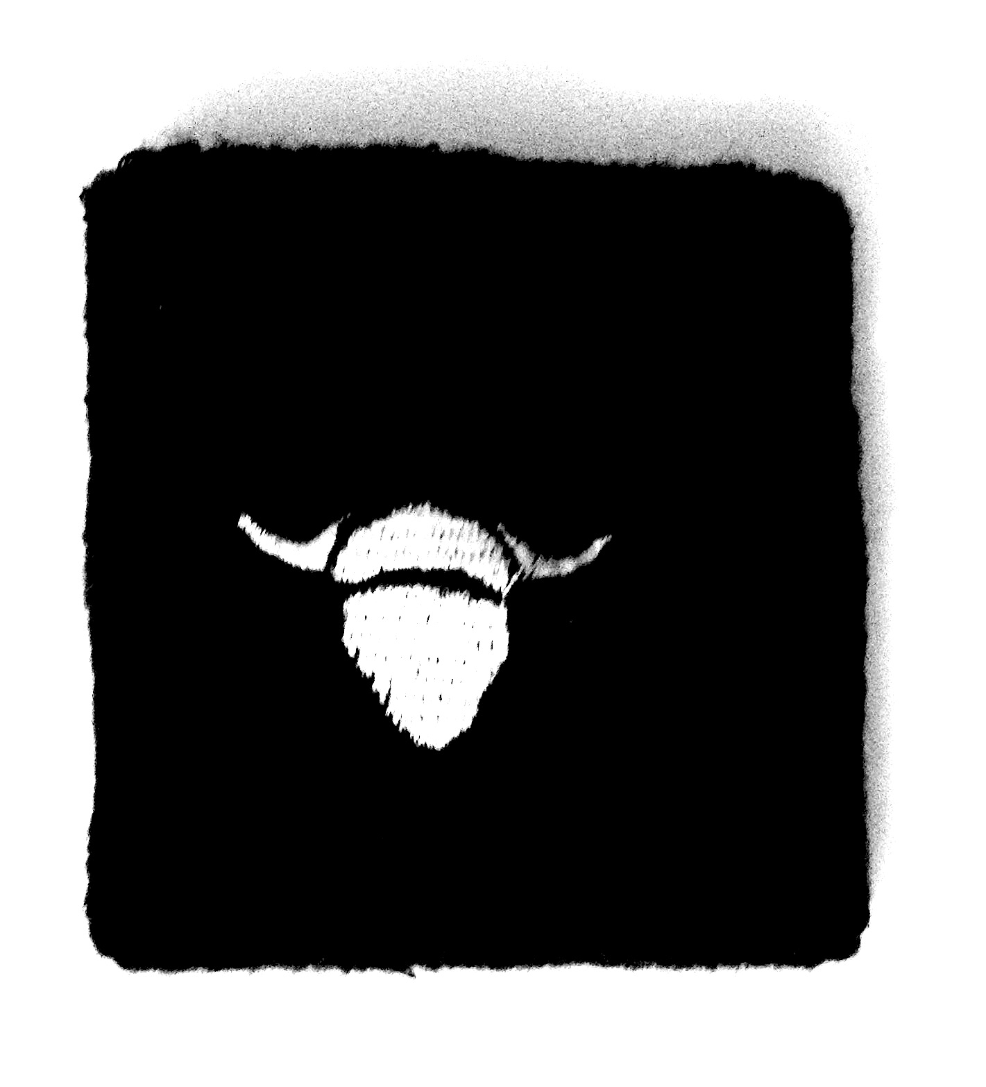 unique_jet_black_sweatband_white_embroidered_horned_bull_wrist_and_sweatbands_2.jpg