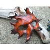 Leather oak leaf mask brown masks