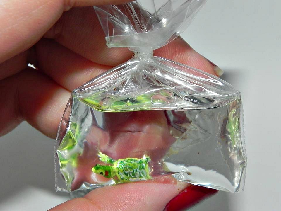 my_pet_turtle_baggie_necklace_necklaces_10.jpg