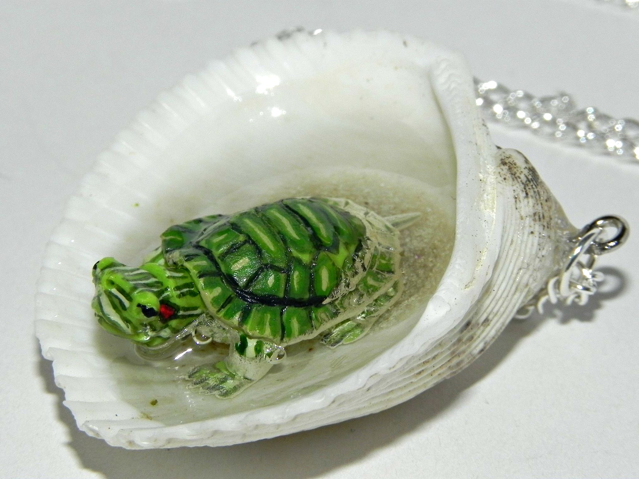 tiny_turtle_jacuzzi_seashell_necklace_necklaces_11.jpg