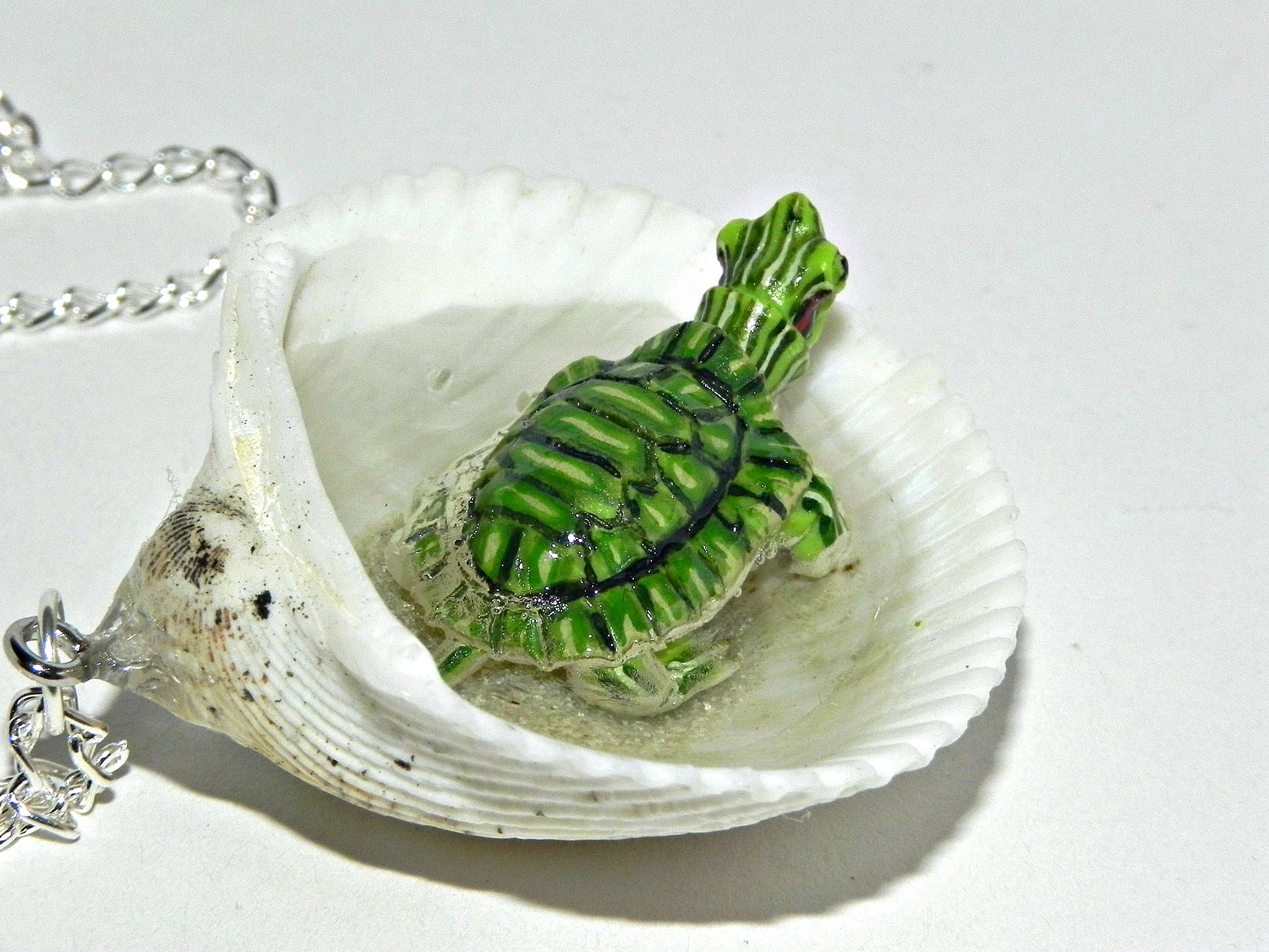 tiny_turtle_jacuzzi_seashell_necklace_necklaces_10.jpg