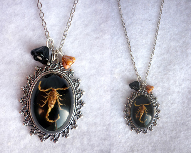 the_scorpion_king_taxidermy_necklace_necklaces_5.jpg