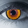 Dracula / Incubus Halloween Contact Lenses Dracula / Incubus Halloween Contact Lenses