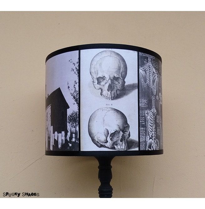 Anatomy Skulls And Graveyards Gothic Lamp Shade Rebelsmarket