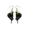 Real_butter_wing_earrings_graphium_weiskei_bottom_earrings_3