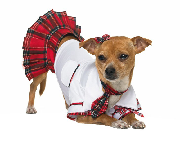Amazing Top 20 Dog Costumes. A Must See