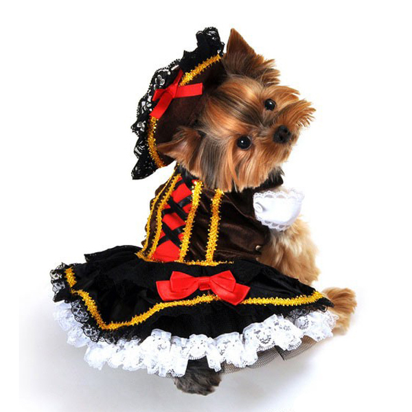 Amazing Top 20 Dog Costumes. A Must See