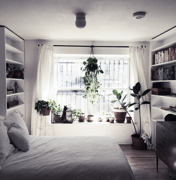 The Alternative Guide To Decorating Your Dorm: How To Make Your Dorm ... The Alternative Guide To Decorating Your Dorm: How To Make Your Dorm ...