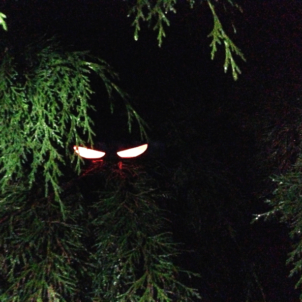 DIY Halloween Decor Easy, Creepy, And Creative Projects