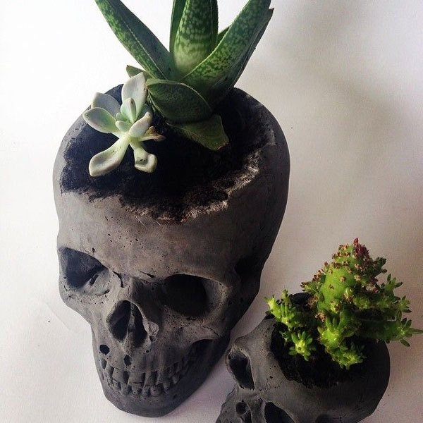 cool potted plants