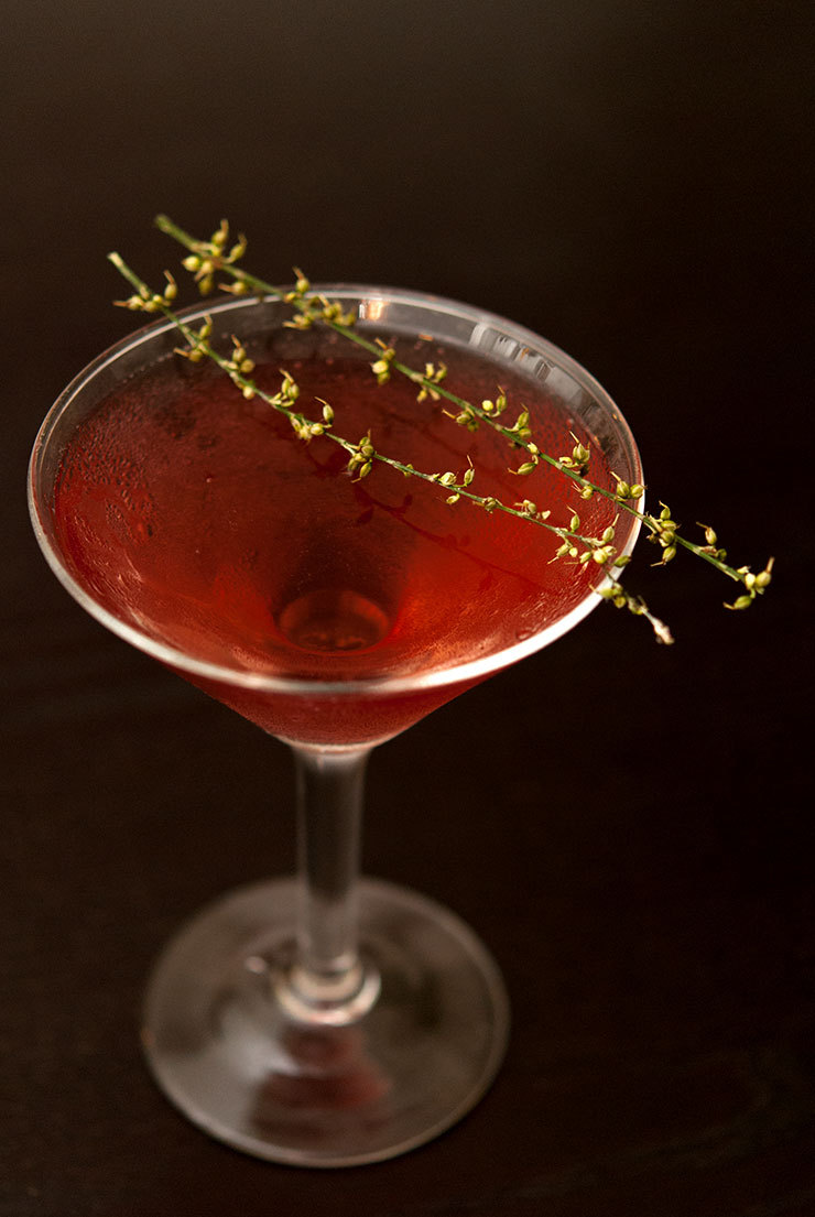 Alternative Thanksgiving Cocktails: The Morticia Addams Cocktail
